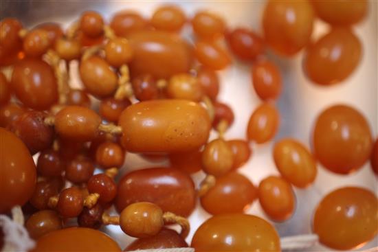 A single strand amber bead necklace and a small quantity of loose amber beads, necklace 30in.